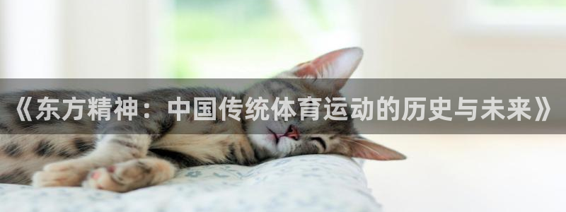 意昂零能源集团：《东方精神：中国传统体育运动的历史与未来》