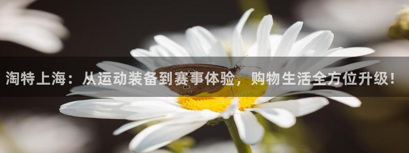 意昂平台注册：淘特上海：从运动装备到赛事体验，购物生活全方位升级！