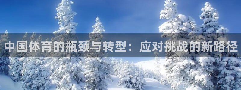 上海意昂汽车电子有限公司：中国体育的瓶颈与转型：应对挑战的新路径