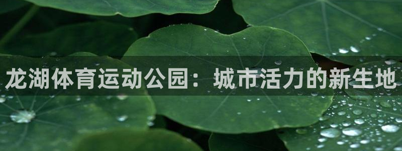 意昂体育注册代理：龙湖体育运动公园：城市活力的新生地