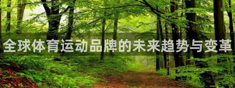 意昂凯捷注册：全球体育运动品牌的未来趋势与变革