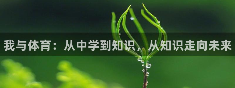 意昂体育2