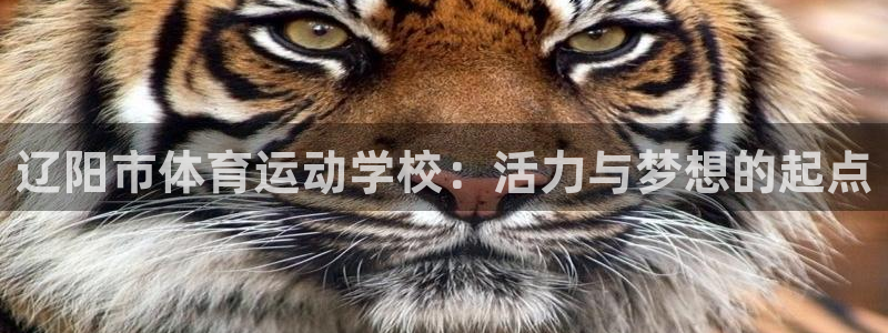意昂平台主管