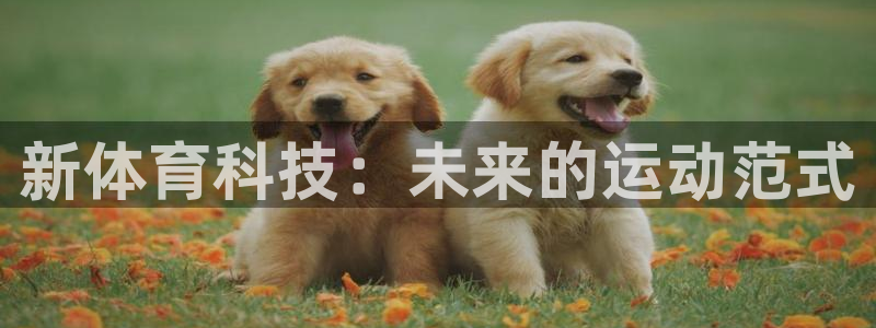 意昂代理注册：新体育科技：未来的运动范式