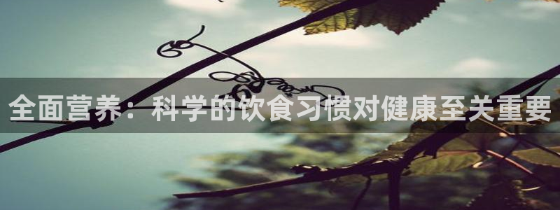 意昂2登录：全面营养：科学的饮食习惯对健康至关重要