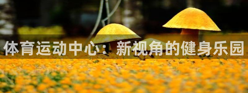 意昂平台注册：体育运动中心：新视角的健身乐园