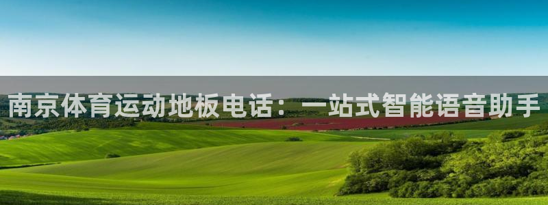 意昂4：南京体育运动地板电话：一站式智能语音助手