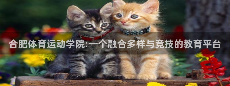 意昂体育3：合肥体育运动学院:一个融合多样与竞技的教育平台