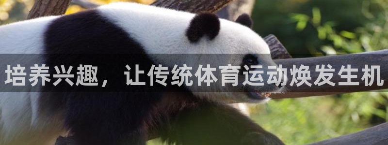 意昂注册：培养兴趣，让传统体育运动焕发生机
