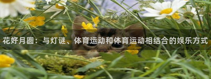 意昂体育2：花好月圆：与灯谜、体育运动和体育运动相结合的娱乐方式