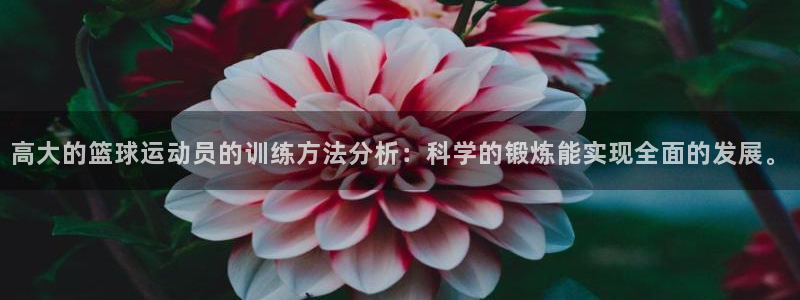 意昂体育热门赛事有哪些：高大的篮球运动员的训练方法分析：科学的锻炼能实现全面的发