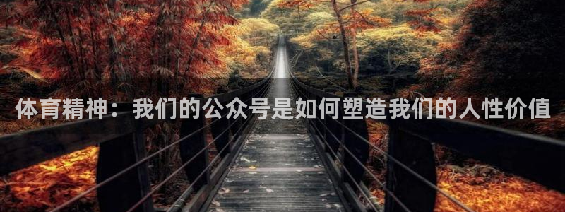 意昂5招商：体育精神：我们的公众号是如何塑造我们的人性价值