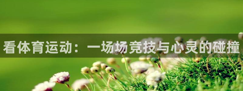 意昂4代理：看体育运动：一场场竞技与心灵的碰撞