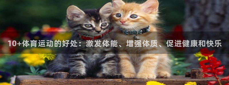 意昂平台开户链接：10+体育运动的好处：激发体能、增强体质、促进健康和快乐