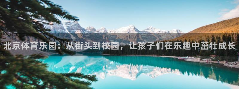 意昂3代理：北京体育乐园：从街头到校园，让孩子们在乐趣中茁壮成长