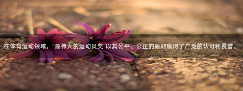 意昂4登录：在体育运动领域，\