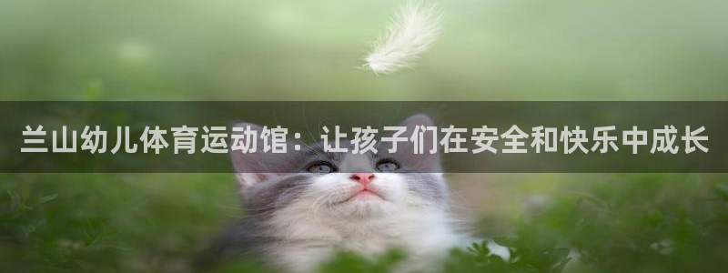 意昂体育官网登录：兰山幼儿体育运动馆：让孩子们在安全和快乐中成长